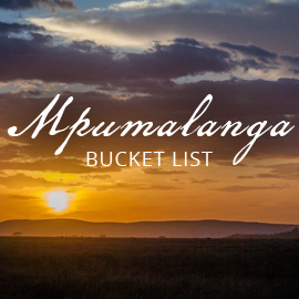 Mpualanga Bucket List